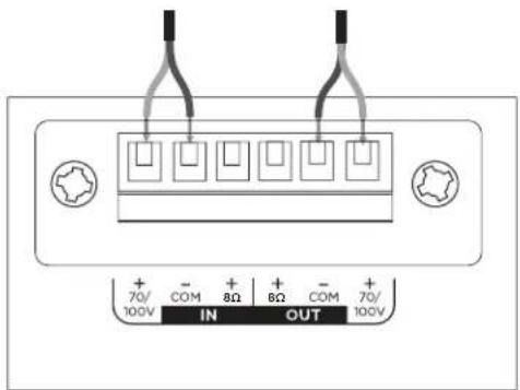 BOSE DesignMax DM5P - Diagramas de cone- xión - 1