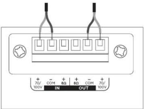 BOSE DesignMax DM10P-SUB - Connection Diagrams - 1