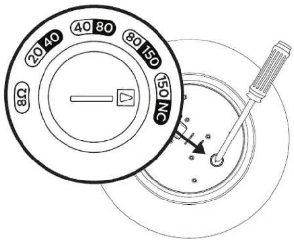 BOSE DesignMax DM10P-SUB - Impostazioni del diffusore - 1