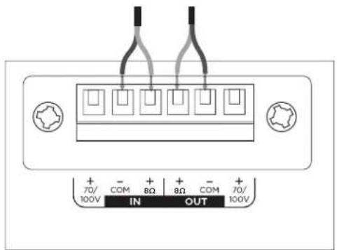 BOSE DesignMax DM10P-SUB - 接线图 - 2