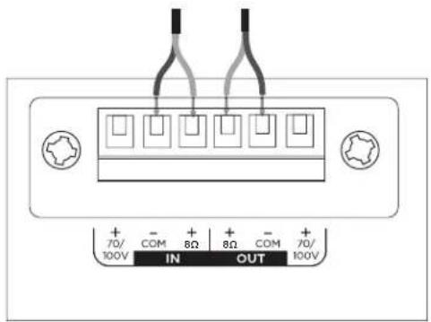 BOSE DesignMax DM10P-SUB - Schemi di collegamento - 2