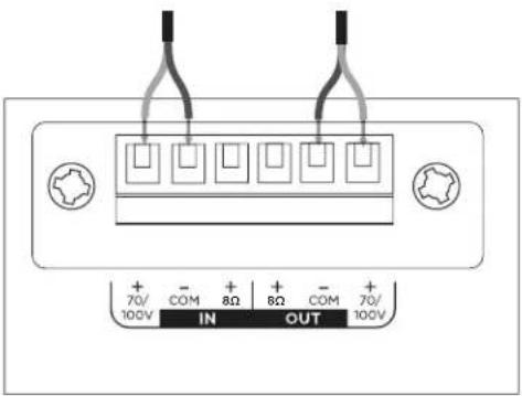 BOSE DesignMax DM10P-SUB - Schemi di collegamento - 1