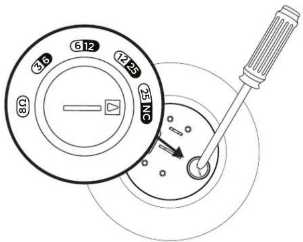 BOSE DesignMax DM3P - Configuración de altavoz - 1