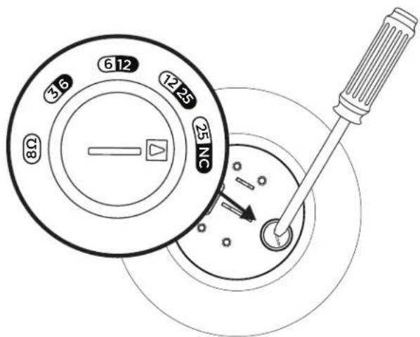 BOSE DesignMax DM3P - 扬声器设置 - 1