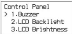 SONY ODS-L100E - Use the ↑ and ↓ buttons to select [Control Panel], and press the ENTER button. - 1