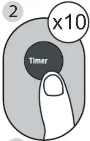 2 x10 Timer