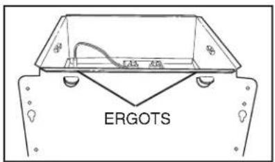ERGOTS