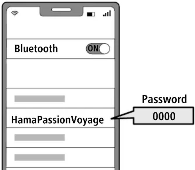 HAMA Passion Voyage 00184159 - Sökefterhörlurarnameddinslutenhet(behövsendastviddenförstaanslutningen) - 1