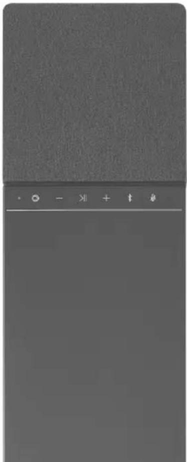 DEVIALET DIONE 950W - ○ Wechselstrom - 1