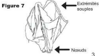 Figure 7 Extrémiles souples Noeuds 3