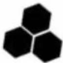 BeeSecure BEE-MS - Onderhoud - 1