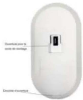 BeeSecure BEE-MS - Description du produit - 2