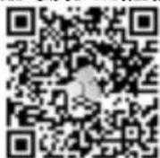 BeeSecure BEE-MS - 5