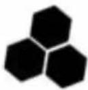 BeeSecure BEE-MS - Maintenance et entretien - 1
