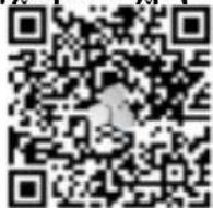 BeeSecure BEE-MS - BEE-MS - 3