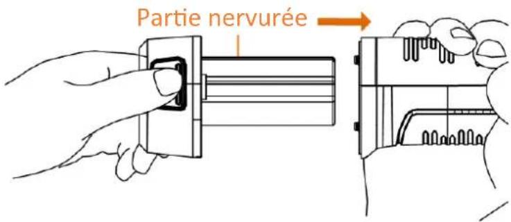 Partie nervurée