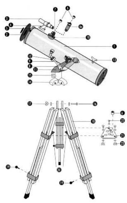 Dörr Meteor 31 - 1