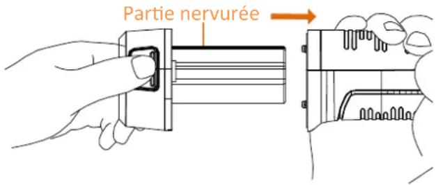 Partie nervurée