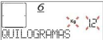 WHIRLPOOL W7 OM4 4S1 P BSS - PESO / ALTURA (REDONDO-TABULEIRO-FATIAS) - 1
