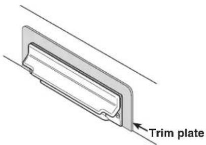 Trim plate