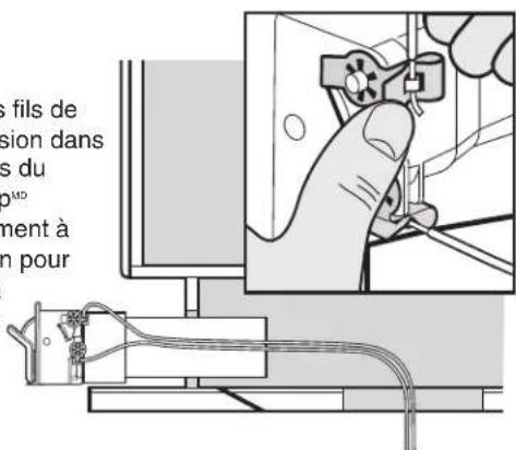 s fils de sion dans s du ment à n pour