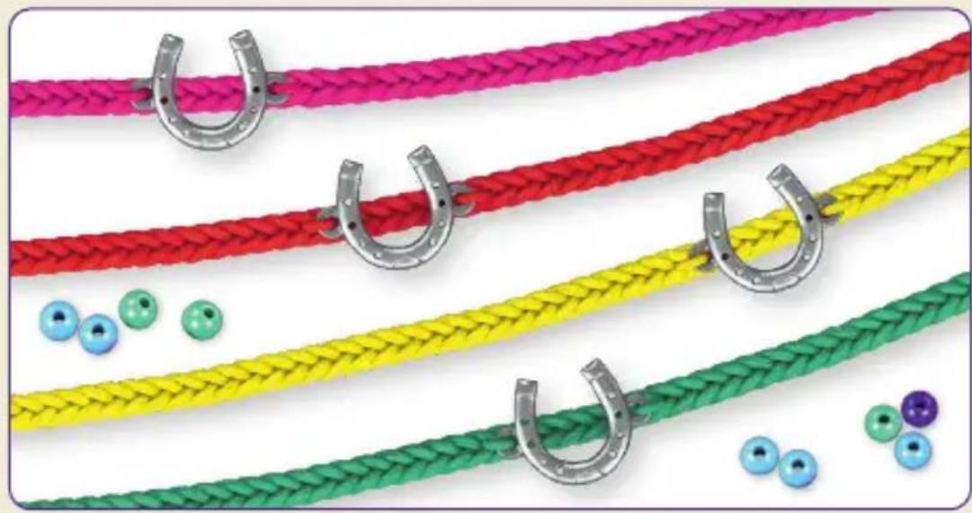Schmidt Horse Club Freundschaftsbändchen - Infine andrà cucito il ferro di cavallo - 1