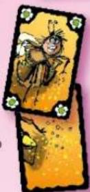 Schmidt Schummel Hummel - Cavalletta - 2