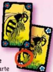 Schmidt Schummel Hummel - Toile d'araignée et araignée - 1