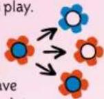 Schmidt Schummel Hummel - How to play - 1