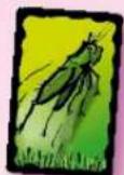 Schmidt Schummel Hummel - Grasshopper - 3