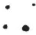 Schmidt Mogel Motte - Materials - 3