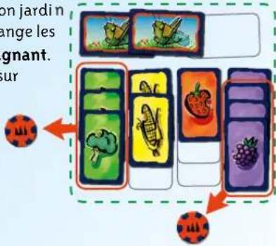 Schmidt Heuschrecken Poker - Idée du jeu - 1