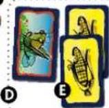 Schmidt Heuschrecken Poker - Préparation du jeu - 6