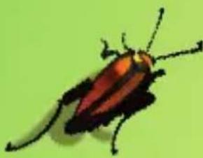 Schmidt Kakerlakensalat - 2