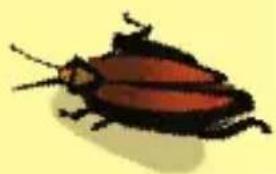 Schmidt Kakerlakensalat - Game play - 1