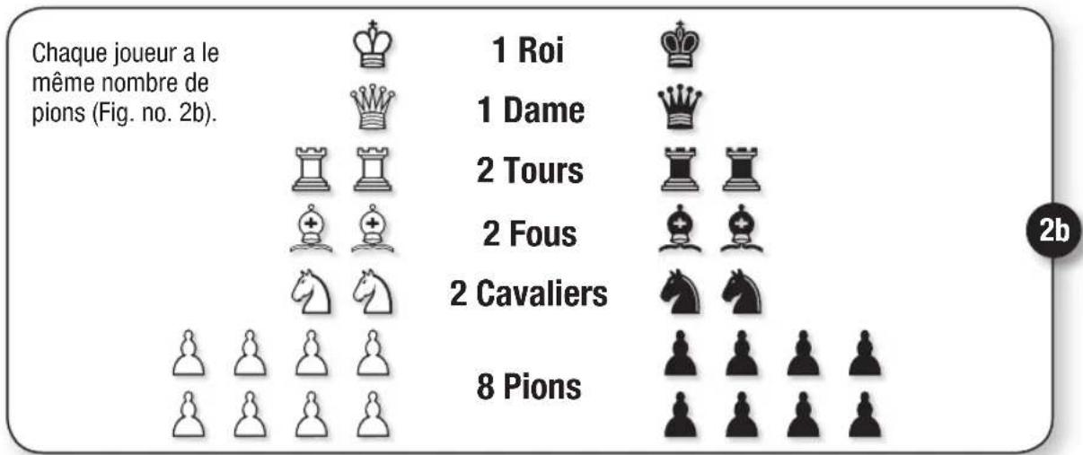 Schmidt Schach - 2