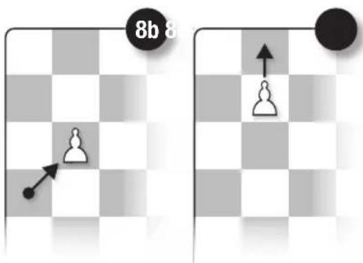 Schmidt Schach - Il pedone - 1