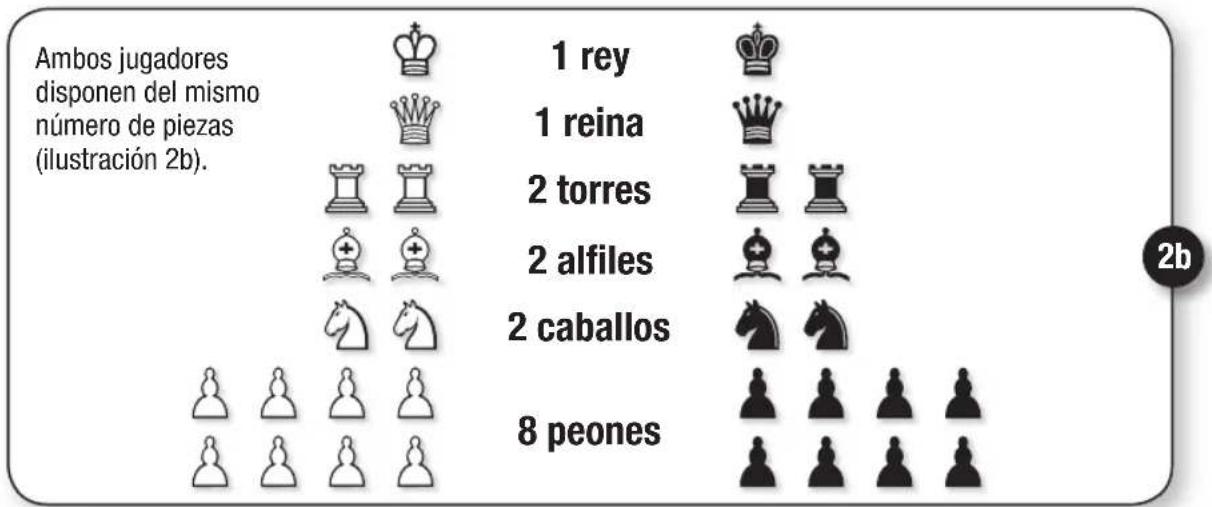 Schmidt Schach - 2