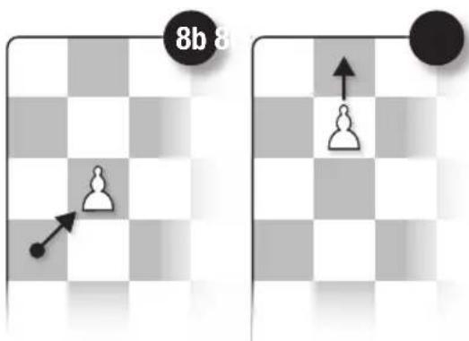 Schmidt Schach - Le Pion - 1