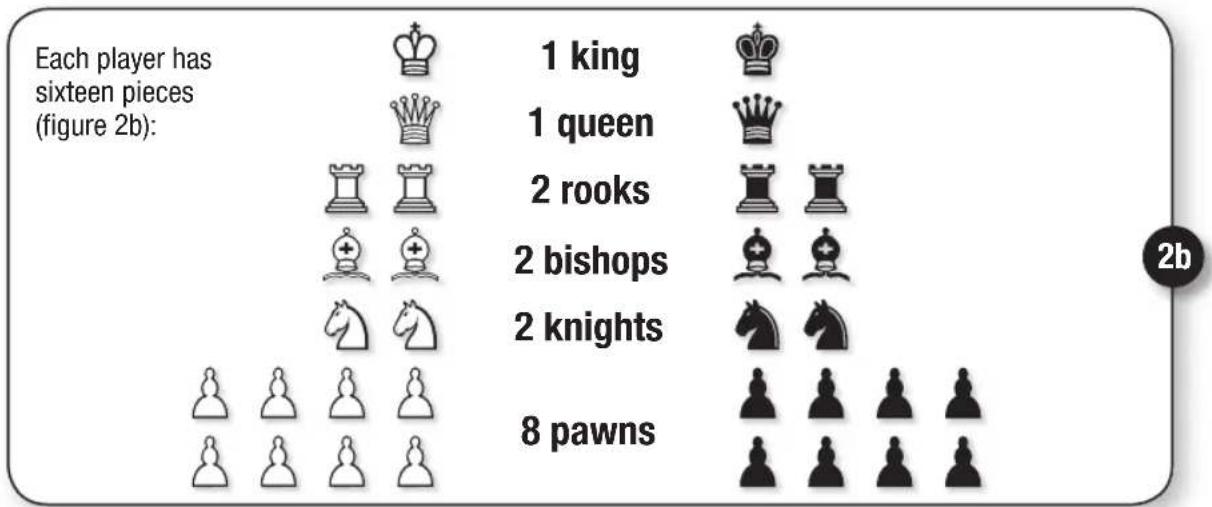 Schmidt Schach - Scacco matto - 2
