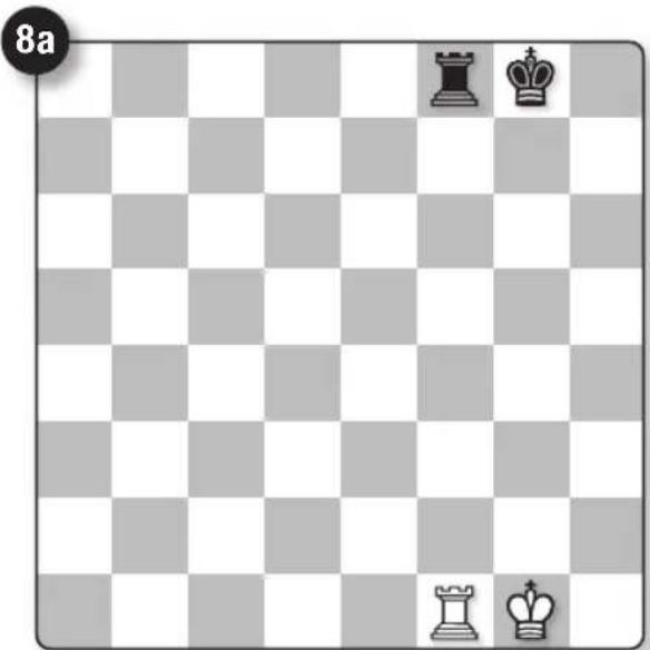Schmidt Schach - Le Pion - 2