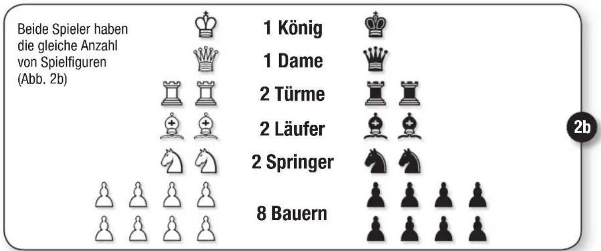 Schmidt Schach - 2