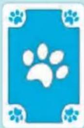 Schmidt DOG Kids - Le carte - 2