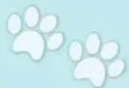 Schmidt DOG Kids - Le carte - 1