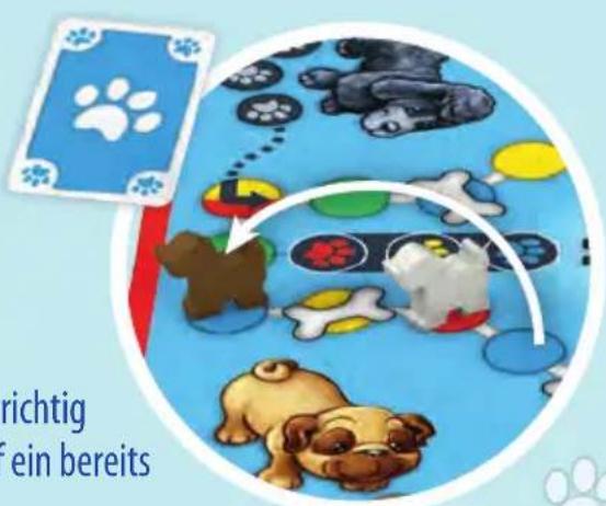 Schmidt DOG Kids - Die Karten - 7