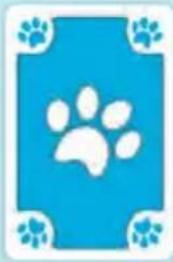 Schmidt DOG Kids - Les cartes - 2