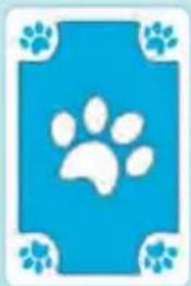 Schmidt DOG Kids - Die Karten - 1