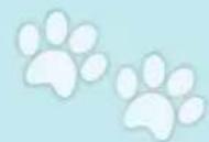Schmidt DOG Kids - Les cartes - 1