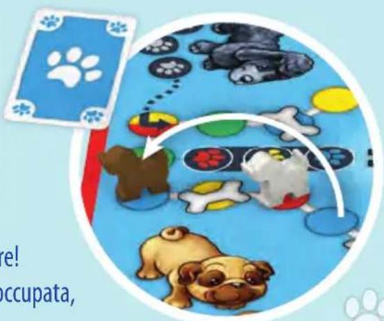 Schmidt DOG Kids - Carta bicolore: - 1