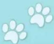 Schmidt DOG Kids - Die Karten - 6